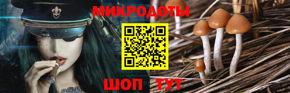 Псилоцибиновые грибы MAGIC MUSHROOMS  Вход с VPN  Артём  дарнет шоп  Псилоцибиновые грибы Cubensis 